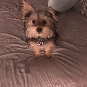 Meet your Posher, Gillian